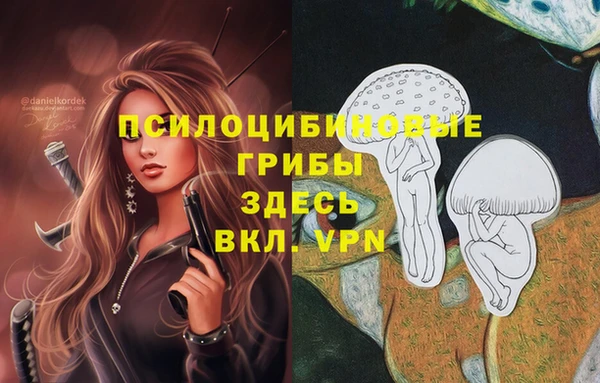метамфетамин Аркадак