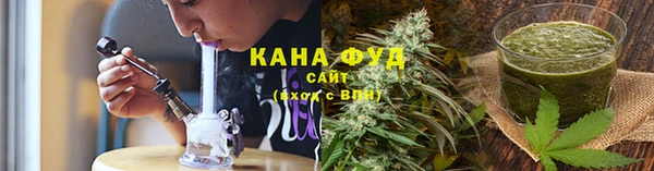 ПСИЛОЦИБИНОВЫЕ ГРИБЫ Арсеньев