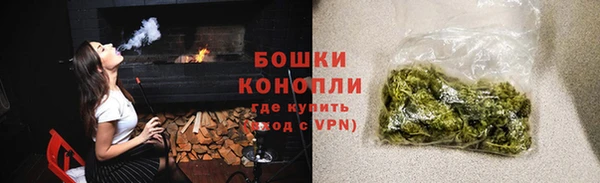 ПСИЛОЦИБИНОВЫЕ ГРИБЫ Арсеньев