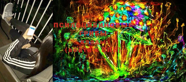 ПСИЛОЦИБИНОВЫЕ ГРИБЫ Арсеньев